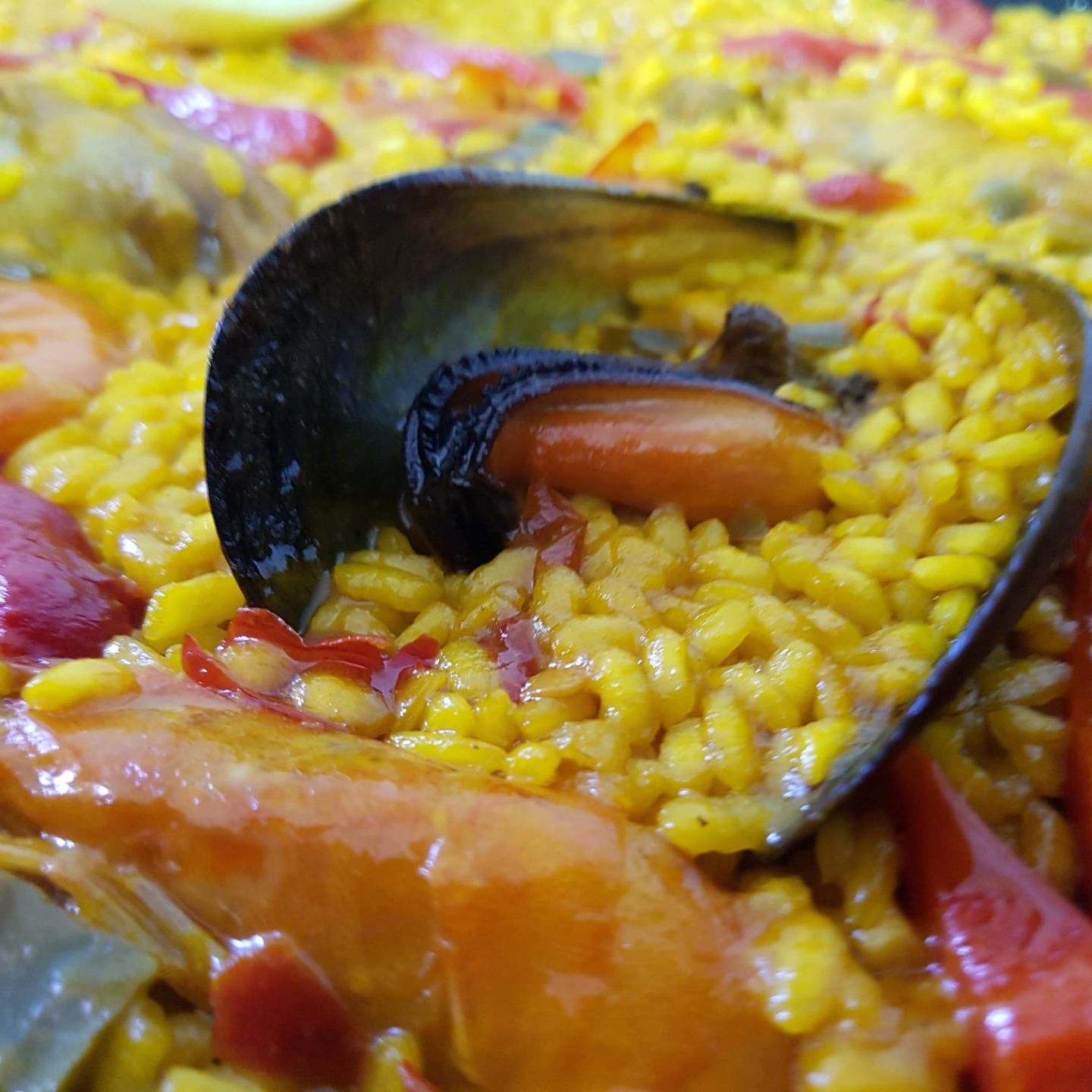 Miralmonte Arroces y Paellas Españolas Monday pict.jpg